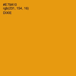 #E79A10 - Dixie Color Image