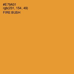 #E79A31 - Fire Bush Color Image