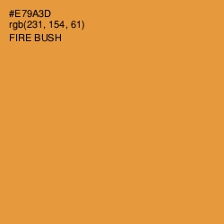 #E79A3D - Fire Bush Color Image