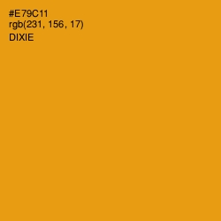 #E79C11 - Dixie Color Image