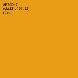 #E79D17 - Dixie Color Image