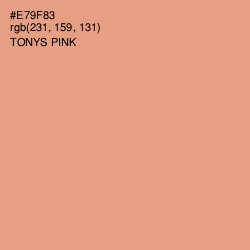 #E79F83 - Tonys Pink Color Image