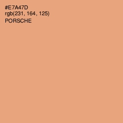 #E7A47D - Porsche Color Image