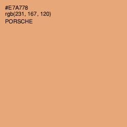 #E7A778 - Porsche Color Image