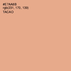 #E7AA8B - Tacao Color Image