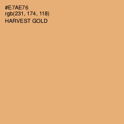 #E7AE76 - Harvest Gold Color Image