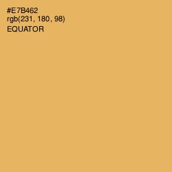 #E7B462 - Equator Color Image