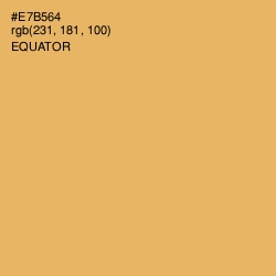 #E7B564 - Equator Color Image