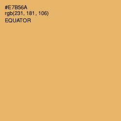 #E7B56A - Equator Color Image