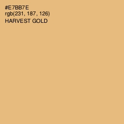 #E7BB7E - Harvest Gold Color Image