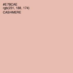 #E7BCAE - Cashmere Color Image