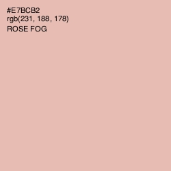 #E7BCB2 - Rose Fog Color Image