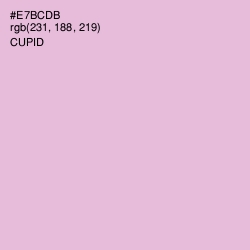 #E7BCDB - Cupid Color Image