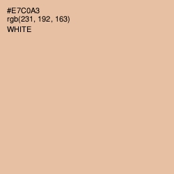 #E7C0A3 - Zinnwaldite Color Image