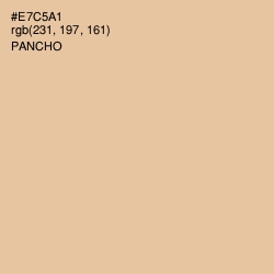 #E7C5A1 - Pancho Color Image