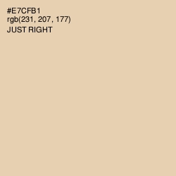 #E7CFB1 - Just Right Color Image