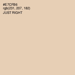 #E7CFB6 - Just Right Color Image