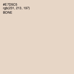 #E7D5C5 - Bone Color Image