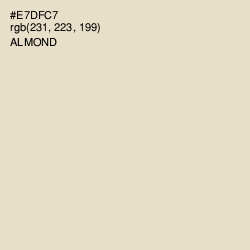 #E7DFC7 - Almond Color Image