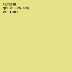 #E7E188 - Wild Rice Color Image
