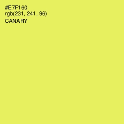 #E7F160 - Canary Color Image
