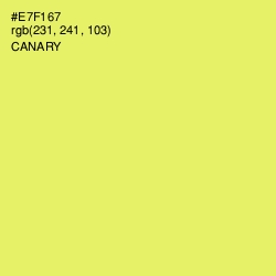 #E7F167 - Canary Color Image