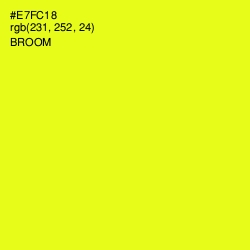 #E7FC18 - Broom Color Image