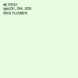 #E7FEE1 - Rice Flower Color Image