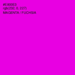 #E800E3 - Magenta / Fuchsia Color Image