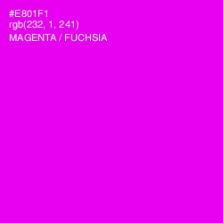 #E801F1 - Magenta / Fuchsia Color Image