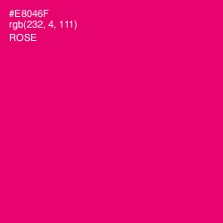 #E8046F - Rose Color Image