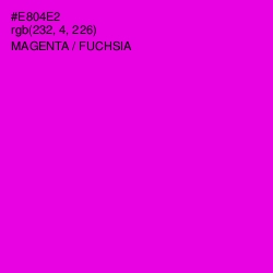 #E804E2 - Magenta / Fuchsia Color Image