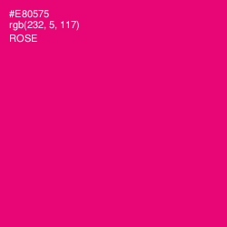 #E80575 - Rose Color Image