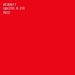 #E80617 - Red Color Image