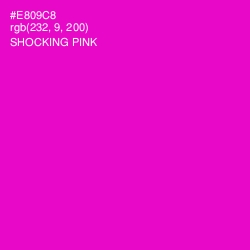 #E809C8 - Shocking Pink Color Image