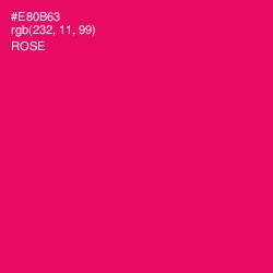 #E80B63 - Rose Color Image