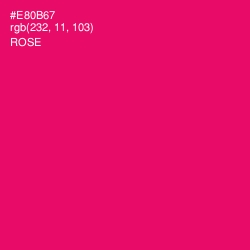 #E80B67 - Rose Color Image