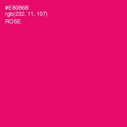 #E80B6B - Rose Color Image