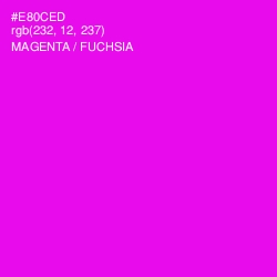 #E80CED - Magenta / Fuchsia Color Image