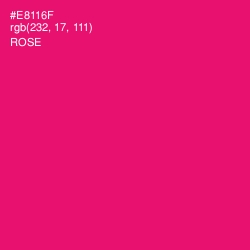 #E8116F - Rose Color Image