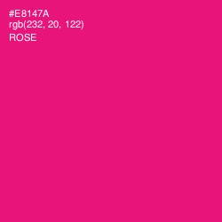 #E8147A - Rose Color Image