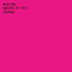 #E81783 - Cerise Color Image