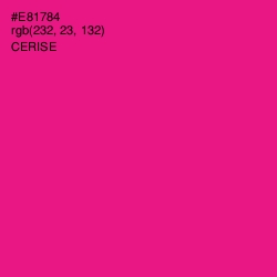 #E81784 - Cerise Color Image