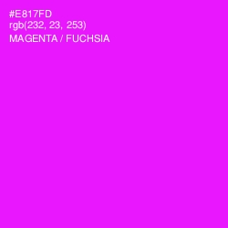 #E817FD - Magenta / Fuchsia Color Image
