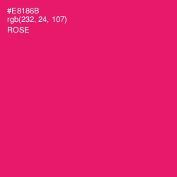 #E8186B - Rose Color Image