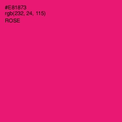 #E81873 - Rose Color Image