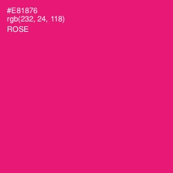 #E81876 - Rose Color Image