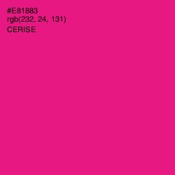 #E81883 - Cerise Color Image