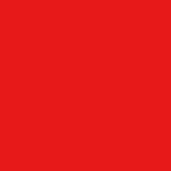 #E81919 - Red Color Image