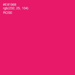 #E81968 - Rose Color Image